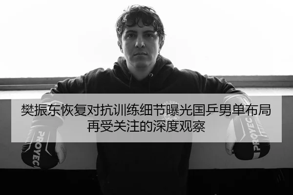 樊振东恢复对抗训练细节曝光国乒男单布局再受关注的深度观察